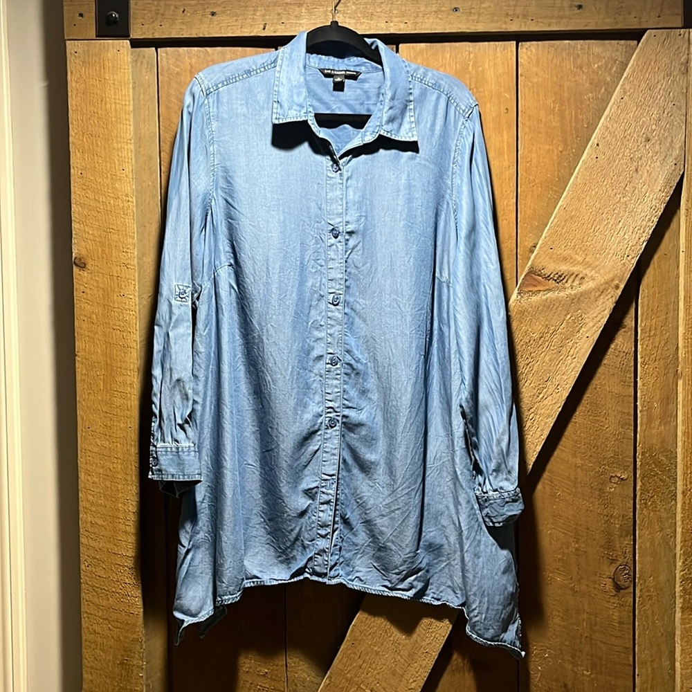 Zac & Rachel Button Down Jean